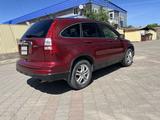 Honda CR-V 2010 годаүшін6 499 990 тг. в Актобе – фото 5