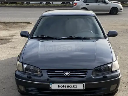 Toyota Camry 1998 года за 4 300 000 тг. в Алматы