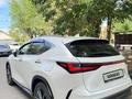 Lexus NX 250 2024 годаүшін36 500 000 тг. в Алматы – фото 5