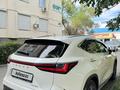 Lexus NX 250 2024 годаүшін36 500 000 тг. в Алматы – фото 6