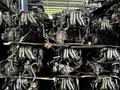Двигатель на форд АКПП мкпп на форд the engine isүшін280 000 тг. в Алматы – фото 5