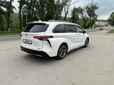 Toyota Sienna 2021 года за 25 800 000 тг. в Алматы – фото 3