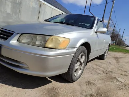 Toyota Camry 2000 года за 3 600 000 тг. в Алматы