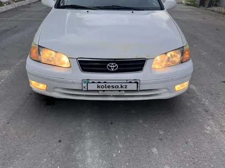 Toyota Camry 2001 года за 2 700 000 тг. в Тараз