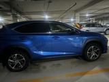 Lexus NX 200 2020 года за 17 700 000 тг. в Кокшетау