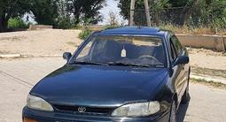 Toyota Camry 1995 годаүшін1 910 000 тг. в Шымкент