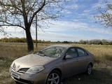Nissan Primera 2007 годаүшін4 300 000 тг. в Костанай
