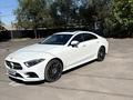 Mercedes-Benz CLS 450 2019 года за 33 000 000 тг. в Алматы – фото 15