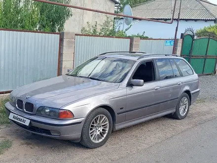 BMW 525 1997 года за 3 528 571 тг. в Тараз – фото 12