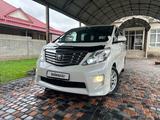 Toyota Alphard 2008 года за 10 500 000 тг. в Шымкент