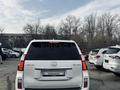 Lexus GX 460 2010 годаүшін16 500 000 тг. в Алматы – фото 3