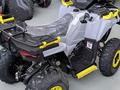 Avantis  Ray 200 Lux 2026 года за 510 000 тг. в Алматы – фото 4