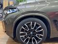 BMW X5 XDrive 40i 2025 годаүшін49 000 000 тг. в Астана – фото 11