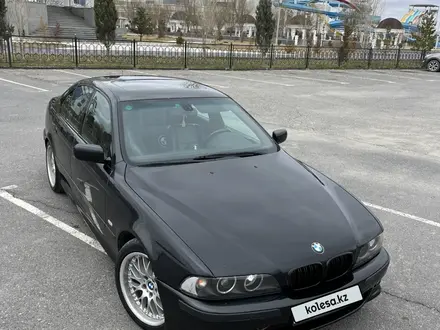 BMW 540 2002 года за 6 950 000 тг. в Алматы – фото 14