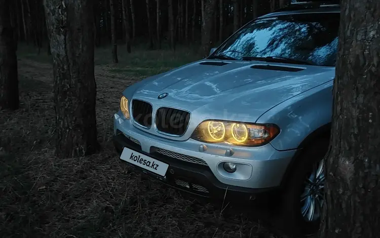 BMW X5 2004 года за 6 800 000 тг. в Мамлютка