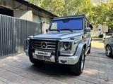 Mercedes-Benz G 270 2002 годаүшін12 500 000 тг. в Алматы