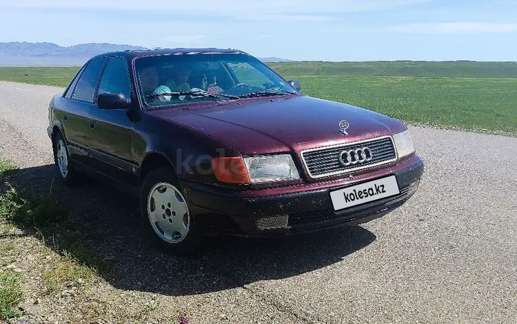 Audi 100 1992 года за 1 500 000 тг. в Жаркент