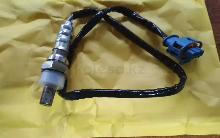 Лямбдазонд за 18 000 тг. в Алматы