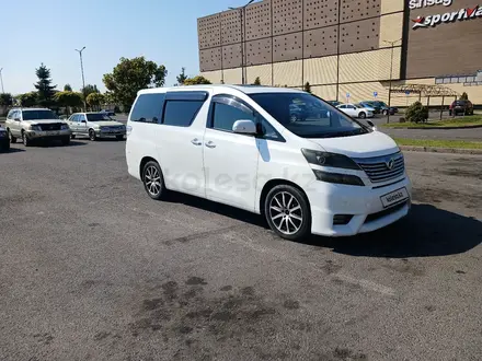 Toyota Alphard 2010 года за 8 500 000 тг. в Тараз – фото 7