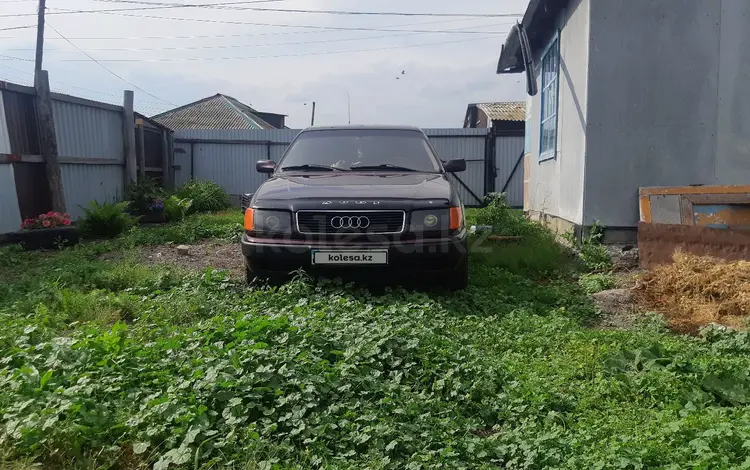 Audi 100 1991 года за 2 400 000 тг. в Мамлютка