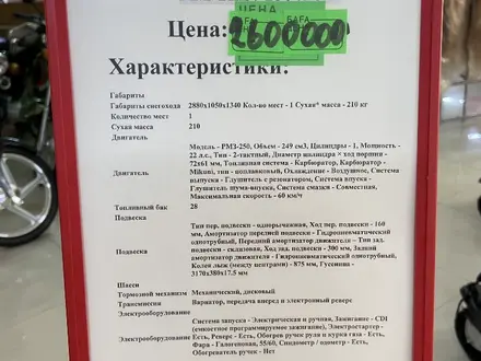  Снегоход RM Tiksy 250 люкс 2022 года за 1 700 000 тг. в Алматы – фото 2