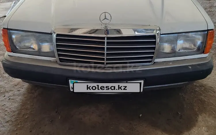 Mercedes-Benz 190 1991 годаүшін1 000 000 тг. в Кызылорда