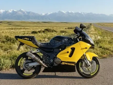 Kawasaki  ZX-12 Ninja 2001 года за 2 300 000 тг. в Алматы – фото 2