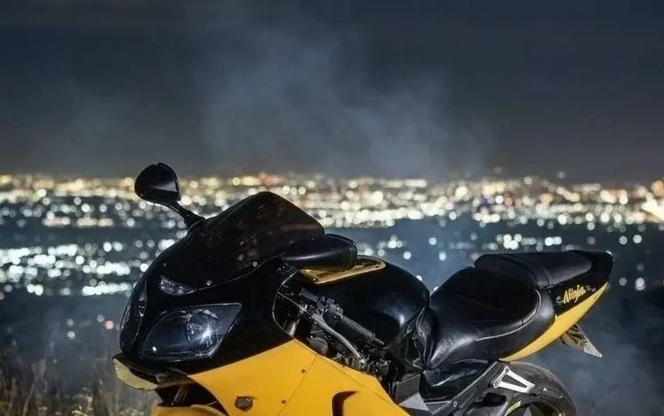 Kawasaki  ZX-12 Ninja 2001 года за 2 300 000 тг. в Алматы
