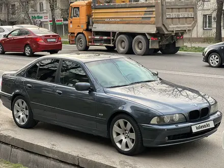BMW 530 2002 года за 5 500 000 тг. в Алматы – фото 6