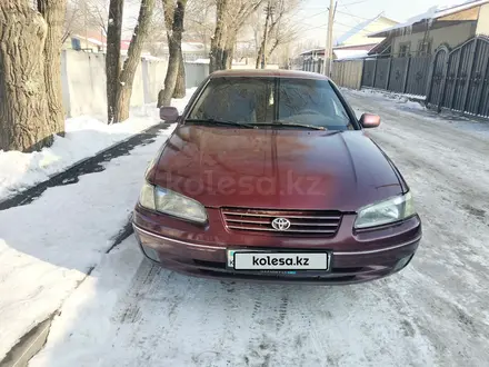 Toyota Camry 1998 года за 3 450 000 тг. в Алматы