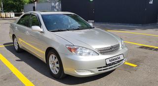 Toyota Camry 2003 года за 6 500 000 тг. в Алматы