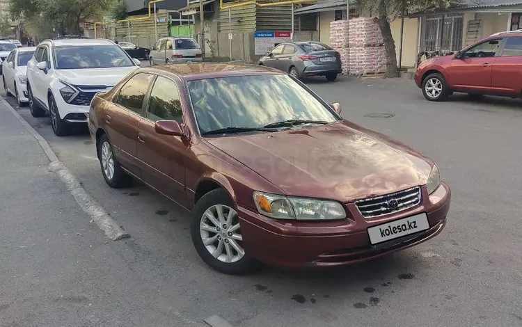 Toyota Camry 2000 года за 3 200 000 тг. в Алматы