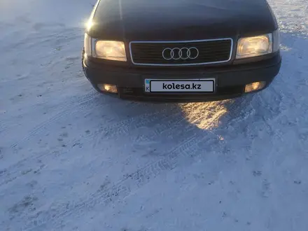 Audi 100 1992 года за 2 000 000 тг. в Петропавловск