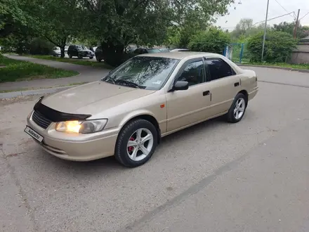 Toyota Camry 1998 года за 2 700 000 тг. в Алматы