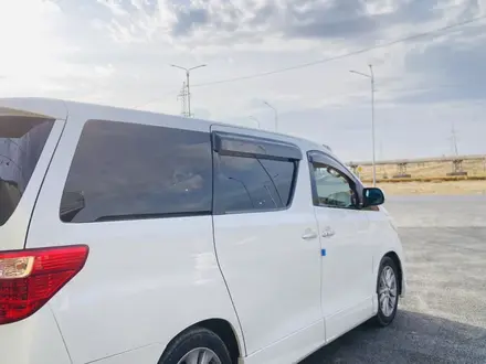 Toyota Alphard 2010 года за 6 000 000 тг. в Кентау – фото 14