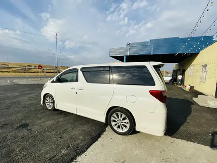 Toyota Alphard 2010 года за 6 000 000 тг. в Кентау – фото 15