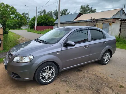 Chevrolet Aveo 2009 года за 3 000 000 тг. в Павлодар – фото 12