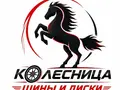 Колесница "Шины диски" в Алматы