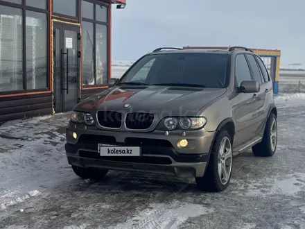 BMW X5 2004 года за 7 000 000 тг. в Караганда – фото 3