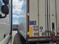 Renault  Premium 2013 годаүшін12 500 000 тг. в Шымкент – фото 8