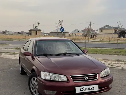 Toyota Camry 1999 года за 3 400 000 тг. в Шымкент