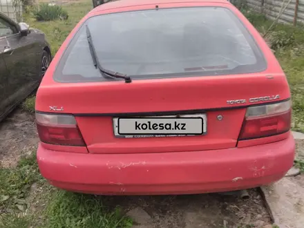 Toyota Corolla 1996 года за 1 000 000 тг. в Алматы