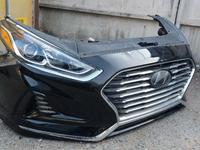 Ноускат Миниморда Nouscat за 125 568 тг. в Алматы