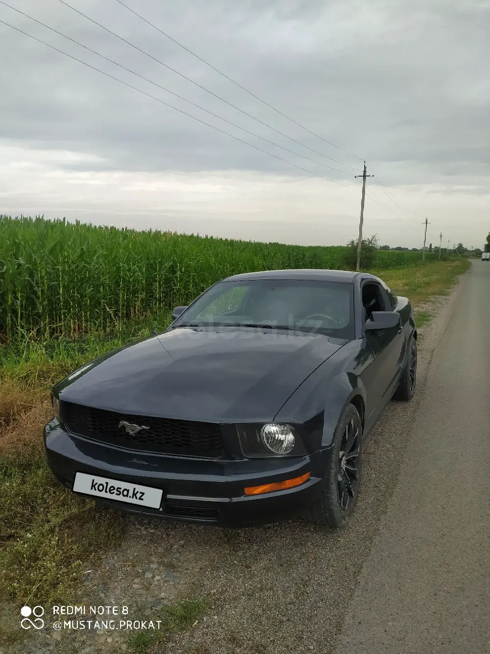 Ford Mustang, 2007