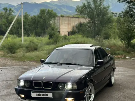 BMW 525 1992 года за 2 800 000 тг. в Алматы – фото 12