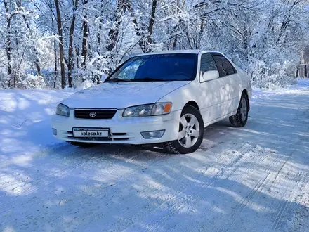 Toyota Camry 2001 года за 3 800 000 тг. в Алматы