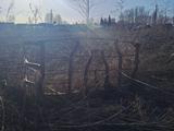 МТЗ 1985 года за 1 800 000 тг. в Усть-Каменогорск – фото 5