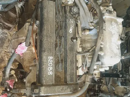Контрактный двигатель B20 B20B8 Honda CR-V RD1 за 420 000 тг. в Семей