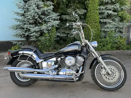 Yamaha  XVS400 Drag Star 2002 года за 2 200 000 тг. в Алматы – фото 10