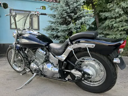 Yamaha  XVS400 Drag Star 2002 года за 2 200 000 тг. в Алматы – фото 8